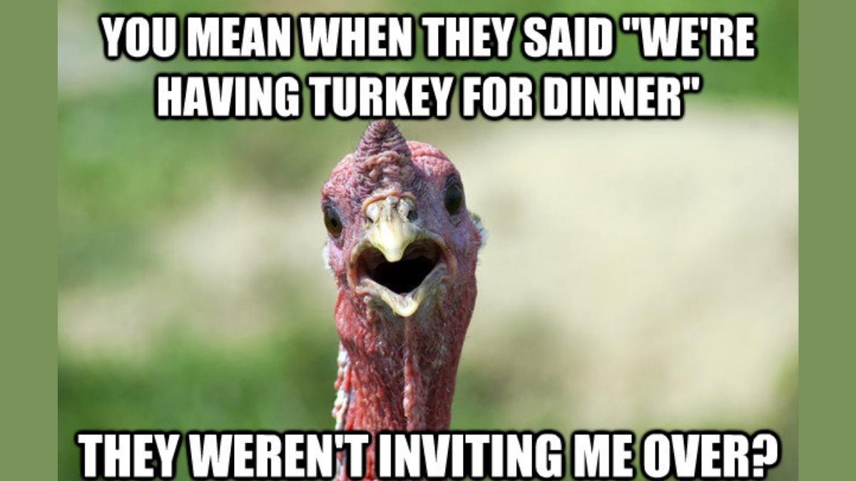 30 Most Hilarious Funny Turkey Memes To Satiate Your Gluttony