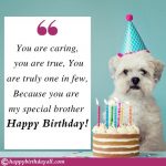 250 Heart Touching Birthday Wishes for Brother - Best Quotes