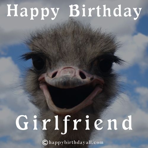 Funny Birthday Memes for Girlfriend