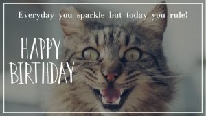 50+ Funny Birthday Memes for Her | Happy Birthday Memes for Girlfriend