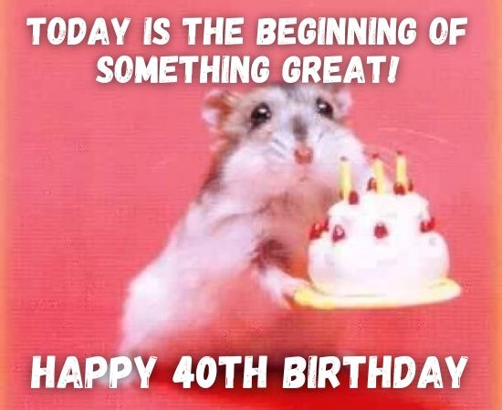 Happy 40th Birthday Memes Funny 40th Birthday Memes For Him Her