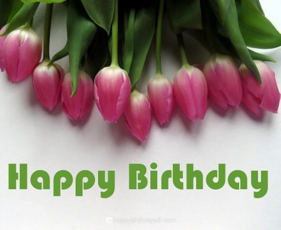 Soothing Happy Birthday Images with Flowers and Roses