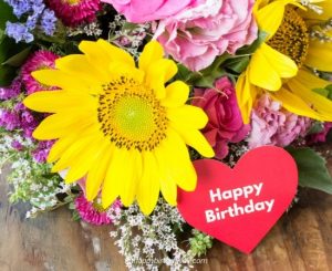 Soothing Happy Birthday Images with Flowers and Roses