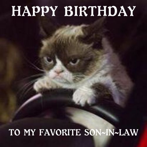 födelsedag. memes for son in law