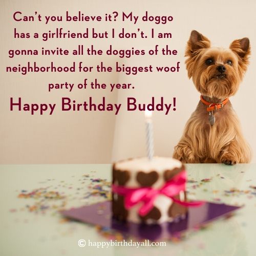 happy birthday funny wishes for dog