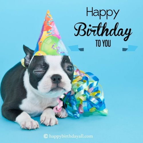 Deseos de cumpleaños para el perro de un amigo