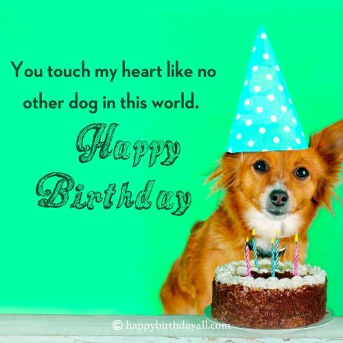 birthday wishes with dog images