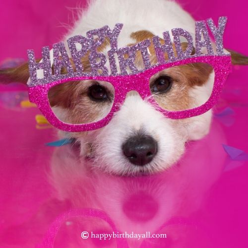 birthday wishes for dog quotes