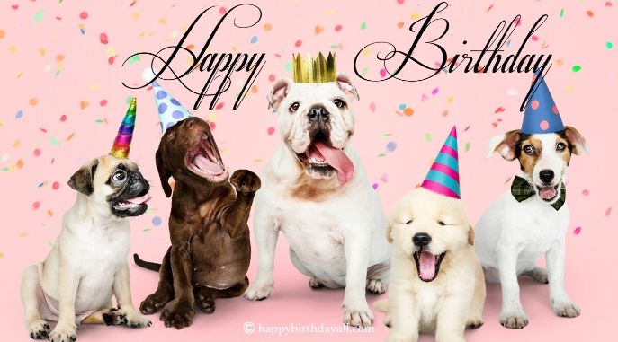 Super Cute Birthday Wishes for a Dog with Pictures