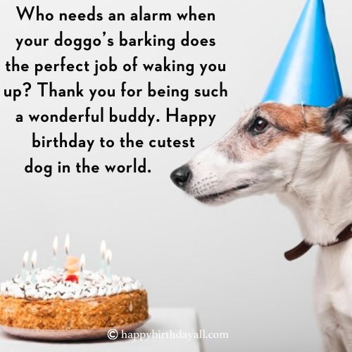 Happy Birthday Messages for Dogs