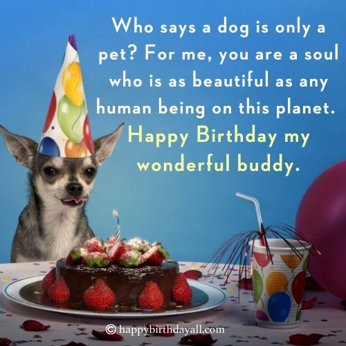 Lovely Happy Birthday Quotes for Dogs