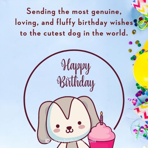 Gli auguri di buon compleanno al cane di un amico