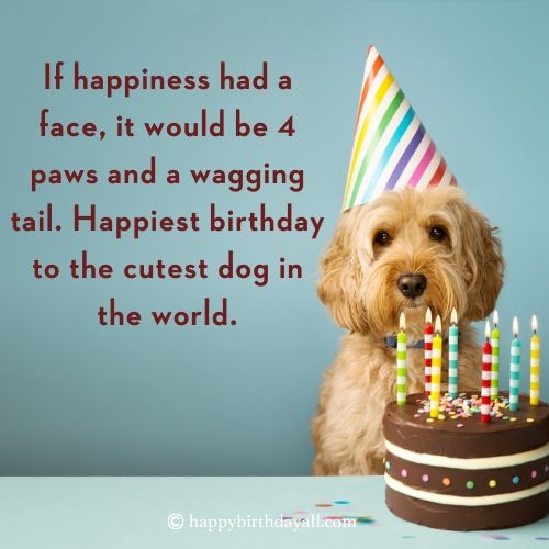 Birthday Wishes for a Dog with Images