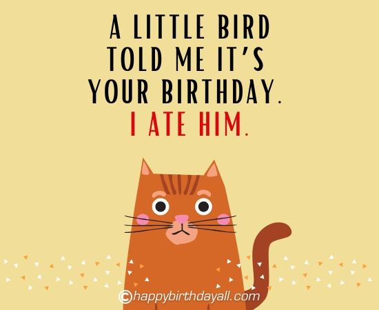 60+ Funny Happy Birthday Images, HD Photos Free Download