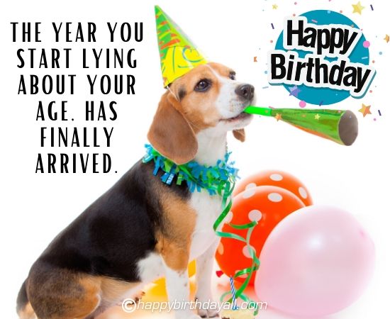 Funniest Birthday Dog Pic with Texts