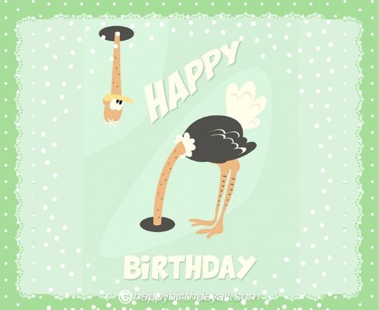 Funny Happy Birthday Images 