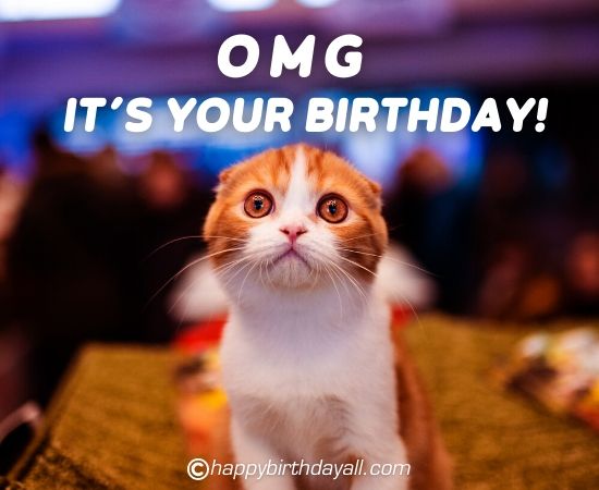 Funniest Birthday Pictures with Texts