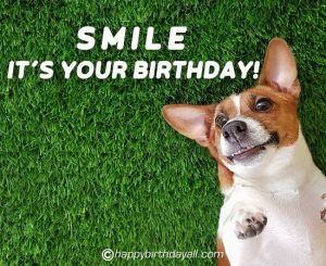 60+ Funny Happy Birthday Images, HD Photos Free Download