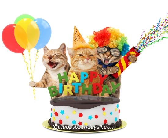 Download Funny Happy Birthday Images Free