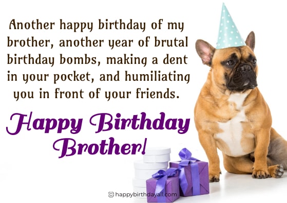 Funny Birthday Quotes For Brother