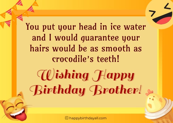 Crazy Funny Birthday Wishes For Brother