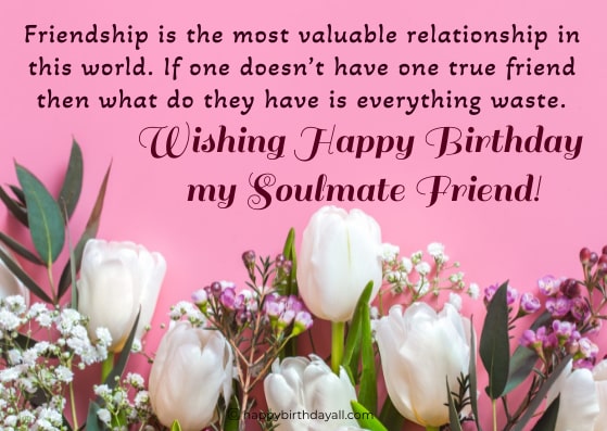 Birthday Wishes For Soulmate Friend