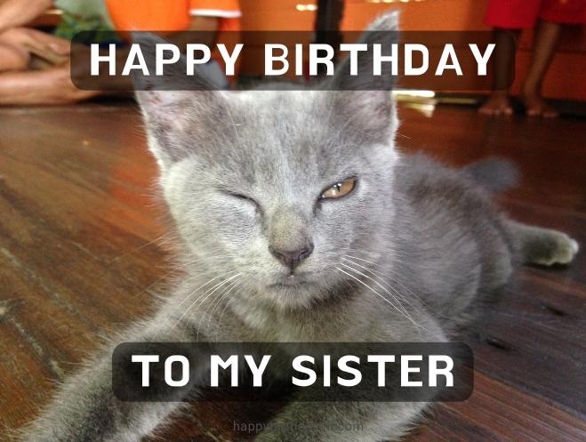 happy birthday sister meme image