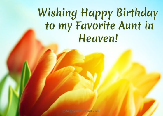 Happy Birthday in Heaven Aunt