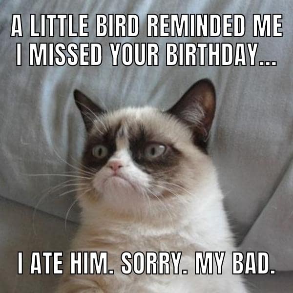 belated birthday meme cat