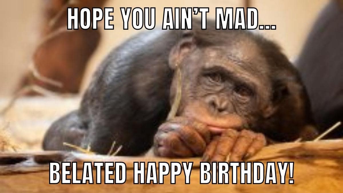 50+ Funny Happy Belated Birthday Memes for Everyone