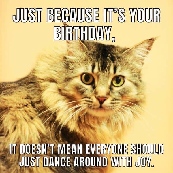happy birthday memes for best friend