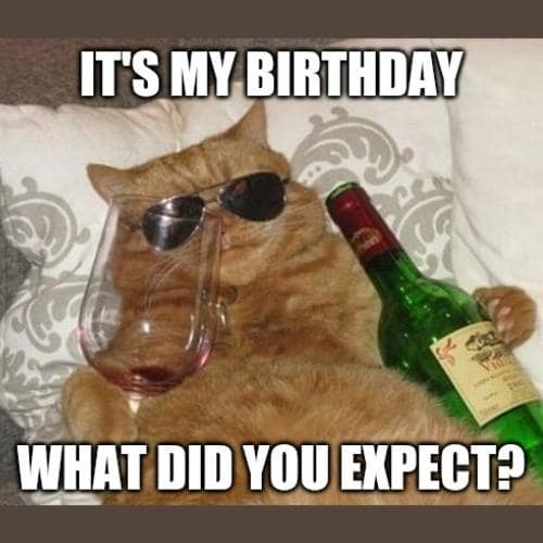 40+ It’s My Birthday Memes to Spread Birthday Vibes Everywhere