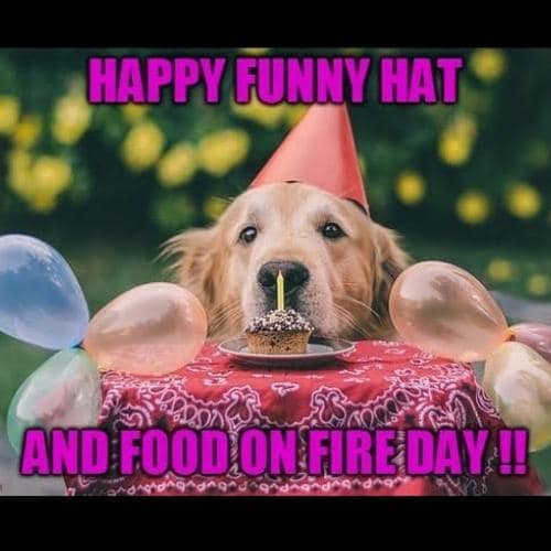 Happy Birthday Dog Memes