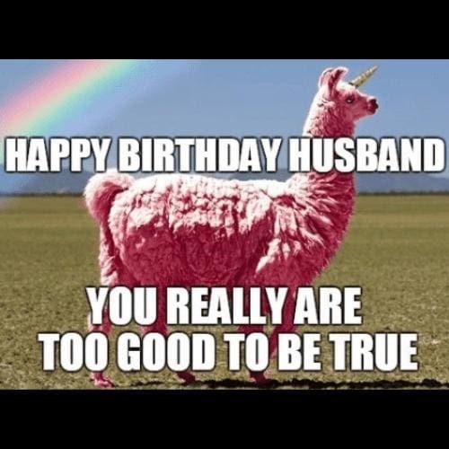 Happy Birthday Husband Memes