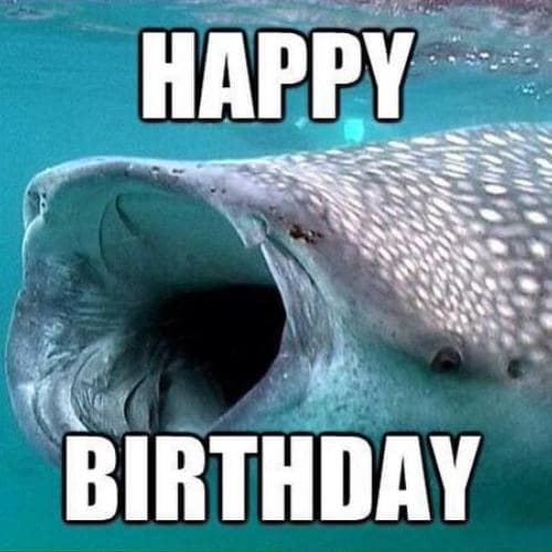Happy Birthday Memes fish