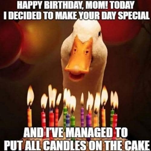 Happy Birthday Mom Memes