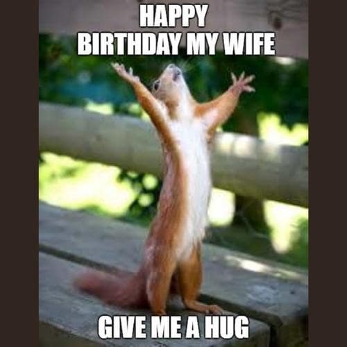 happy birthday wife memes
