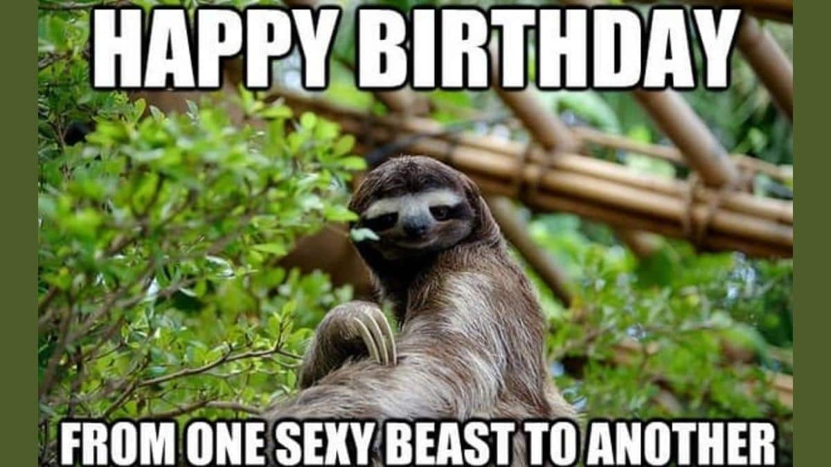 30+ Birthday Memes for Coworkers to Celebrate Special Day