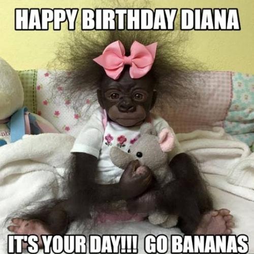 Happy Birthday Diana Memes
