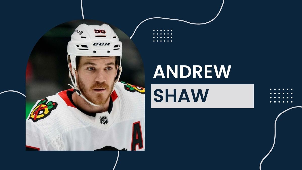 Andrew Shaw Net Worth, Birthday, Age, Height, Family, Wiki!