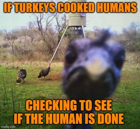 happy Thanksgiving Memes