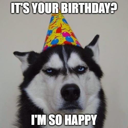 free Happy Birthday Memes