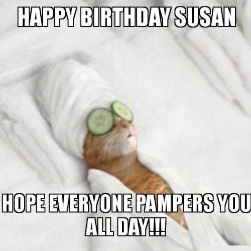 Happy Birthday Susan Memes