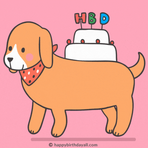happy birthday cake gif dog