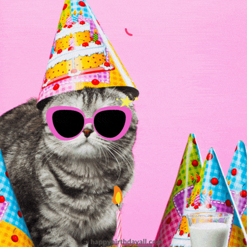 happy birthday cool cat gif funny