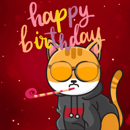 happy birthday cat gif cute