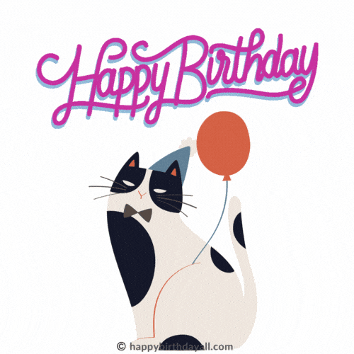 happy birthday cat gif download