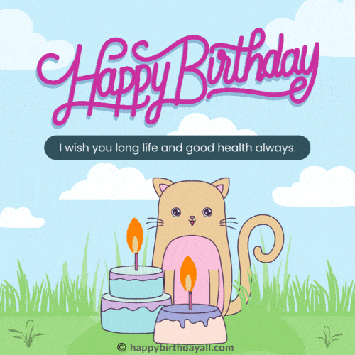 happy birthday cat gif wishes