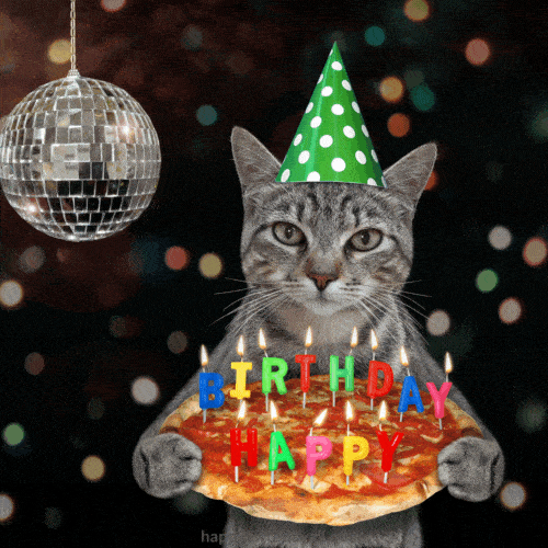 happy birthday cat gif with sound