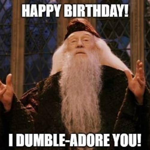 Harry Potter Birthday Memes